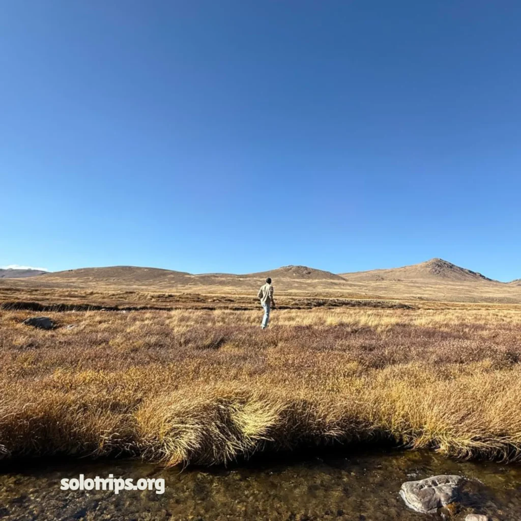 solo-trips