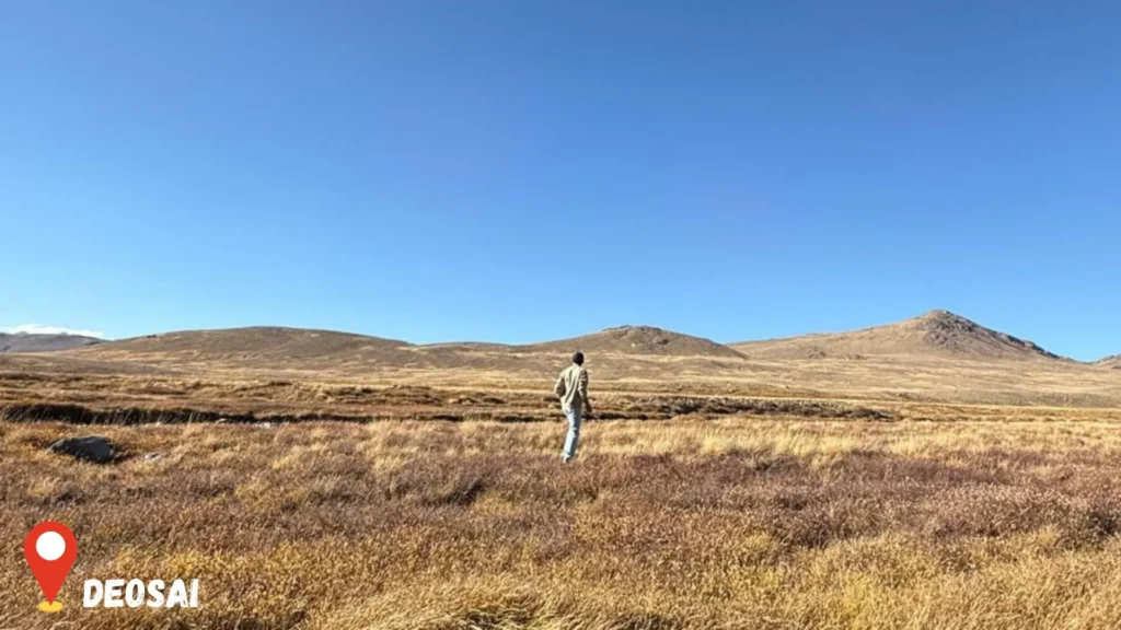 solo-travel